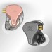 KZ x HBB DQ6S Earphones thumbnail image 1